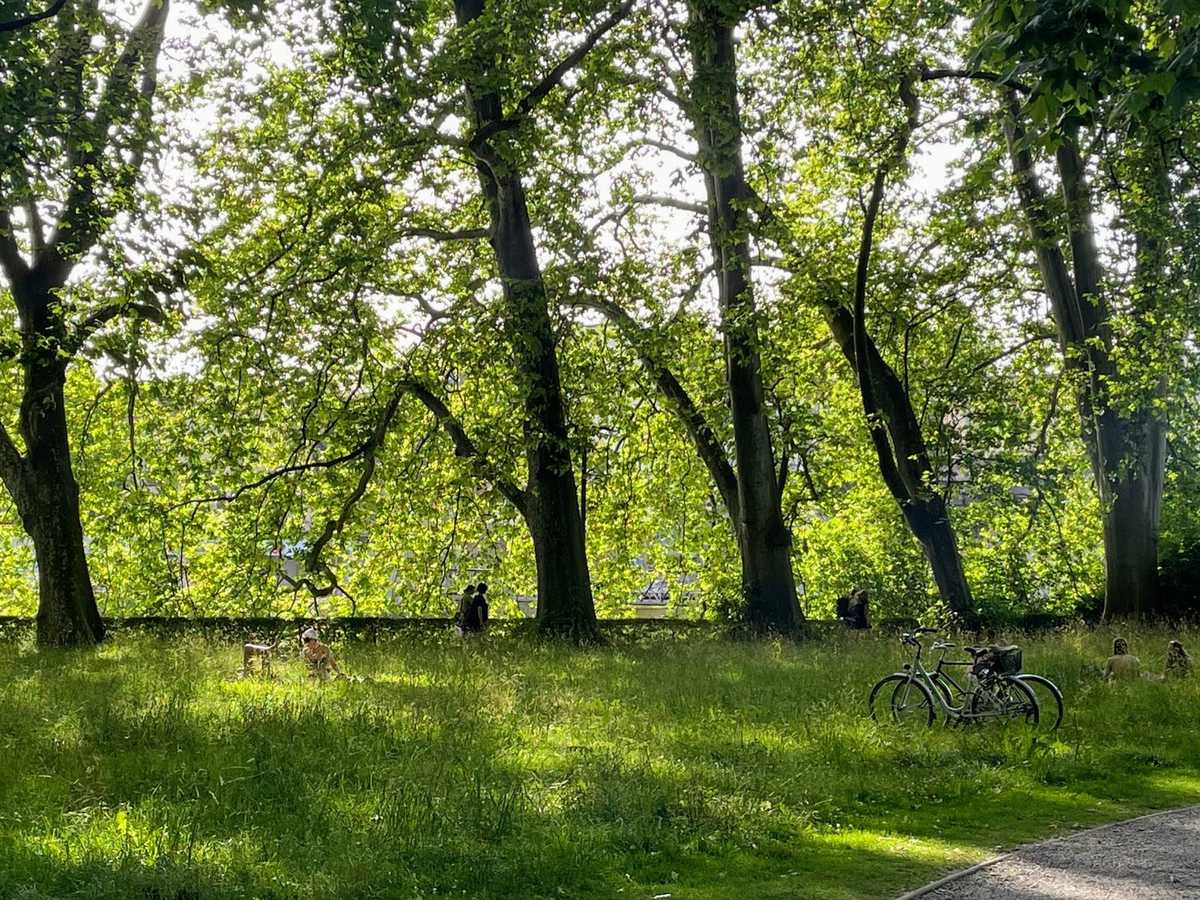 651808721 18126411943565555 8178619508640957040 n